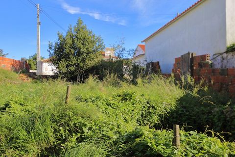 Located in Costa de Prata. Single storey house to renovate; About 10 minutes from Caldas and 18 from Baia de S. Martinho do Porto; 2 bedrooms; Kitchen; Living room; Annex with wood oven; Land completely fenced with walls and water well; Attic with hi...