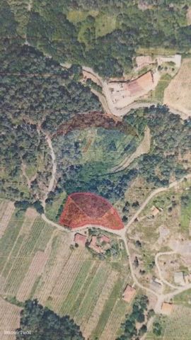 Land for sale at 15 000 € Rustic land, in the region of Viana do Castelo, parish of Lara in Monção, with a total area of 4.510,00m2. It has strong potential for agriculture and livestock and its privileged location, in one of the most productive regi...