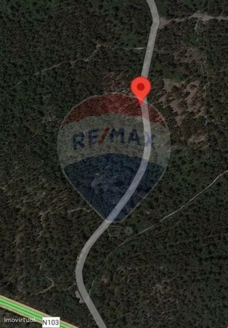 Land for sale at 55 000 € Rustic land with 3 786m2, composed of pine forest and vast area of eucalyptus. It is located in the Parish of Feitos, in the Municipality of Barcelos. It has good access and excellent sun exposure.   Don't miss this great op...