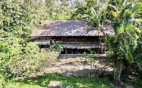 This Villa is an impressive rustic colonial style residence, standing out for its 320m2 of construction distributed over two floors. Located in a very strategic point, the land of more than 13,000m2, just 2 km from the center of Puerto Viejo, is imme...