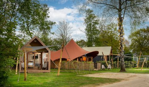 Être à l'extérieur pour de longues vacances ou un week-end ou en milieu de semaine au bord de la rivière De Regge est une excellente destination. Le parc se trouve à la frontière de la région Salland et Twente, avec de vastes forêts et landes pour d'...