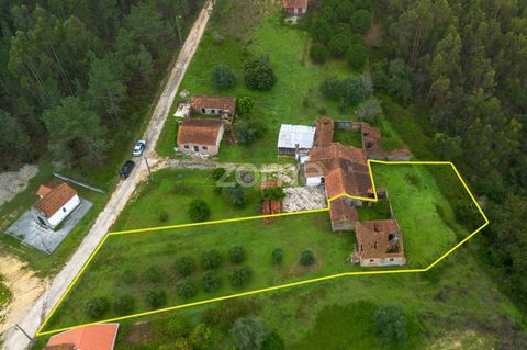 Kennung der Immobilie: ZMPT570800 Die einstöckige Villa befindet sich im malerischen Dorf Vale da Borra in der Gemeinde Sorure und bietet eine einzigartige Gelegenheit, in Harmonie mit der Ruhe der ländlichen Umgebung zu leben und gleichzeitig in der...