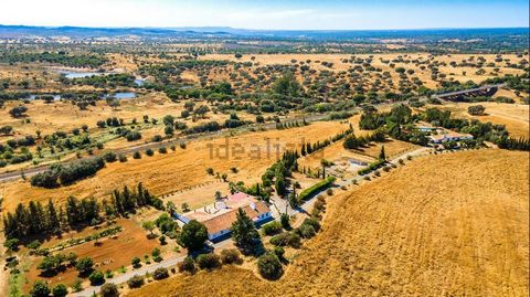 Come and discover this typical Alentejo estate with excellent location and strategic positioning 1 hour from Lisbon and the Algarve, 800 meters from the N-10 exit of the A2 and 25 minutes from Beja Airport and 20 minutes from the Alentejo coast: such...