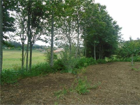 Terreno em Paços Ferreira Excelente Terreno de Cultivo com uma área de 2.030m2. Constituído por 3 campos (Leiras) sendo limitado por várias árvores (Castanheiros e Carvalhos). Venha Conhecer, Visite já!! ;ID RE/MAX: 121751088-476