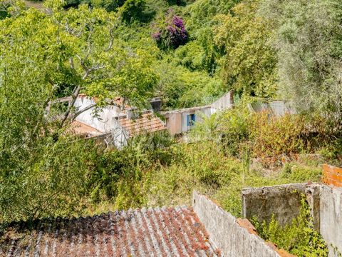 Villa in ruins with 1,254 sqm of gross construction area, with a view of the Pena Palace and the Moorish Castle, set on a walled plot of 3,066 sqm, located in the Ribeira de Sintra area, in Sintra. The existing house has two floors, with a footprint ...