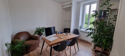 photo no. 13