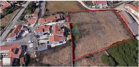 Situato ad Areias, São João das Lampas, è un terreno urbano a bassa densità, che copre una generosa area di 5.296 m2. Questo spazio offre numerose possibilità per lo sviluppo di diverse imprese. Immagina la creazione di una villa spaziosa con un ampi...