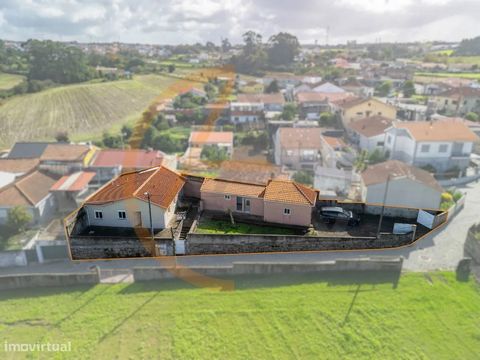 Duas Moradias Térreas de Tipologia T1 e T2 inseridas em lote único com 365 m2 localizadas na freguesia de Custoias. Em ótimo estado de conservação e com vistas desafogadas, moradias equipadas com Caixilharia de Alumínio com Janelas de Vidro Duplo em ...