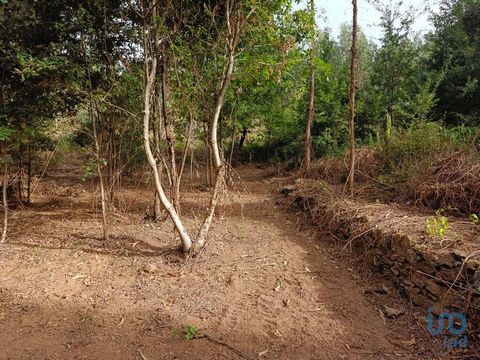 Terreno rústico de 5.274m² nos arredores tranquilos da Graça, Pedrógão Grande Descubra um pedaço sereno de vida no campo com este terreno rústico de 5.274m² localizado numa estrada tranquila e pavimentada nos arredores da Graça, na deslumbrante regiã...