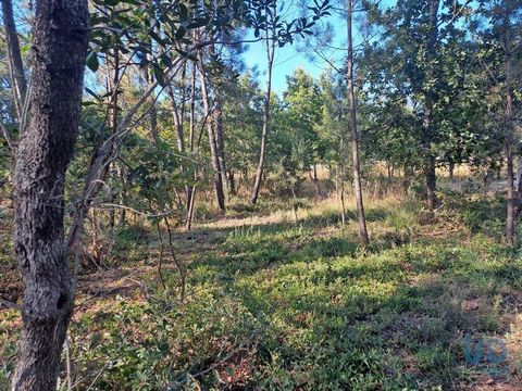 lote de terreno urbano , a 5 km da lousã perto da via rápida bom investimento , venha conhecer. #ref: 123888