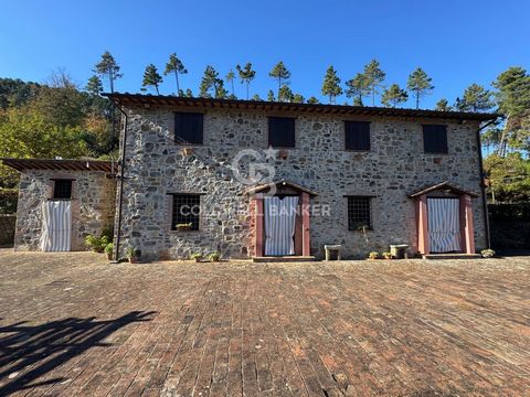 Affascinante casale in pietra con ampia terrazza panoramica, immerso nel verde della campagna toscana con grande piscina. Questa proprietà di grande charme è stata ristrutturata con cura, preservando le caratteristiche autentiche delle tradizionali c...