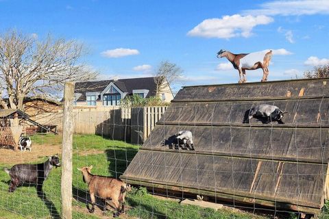 Cette maison de vacances au Danemark est un excellent choix pour les familles et les groupes, peut accueillir jusqu'à 5 personnes et accepte même les animaux domestiques. La propriété dispose d'un lit double, d'un lit et de deux lits superposés ainsi...