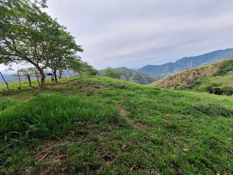 Descubre un rincón de tranquilidad en la Vereda San Miguel, Ciudad Bolívar. Te presentamos una Parcelación Exclusiva con Lotes disponibles para ti. Lote con un área de 3341m2 Lo que Ofrecemos Naturaleza en su Esplendor: Disfruta de más de 20 hectárea...