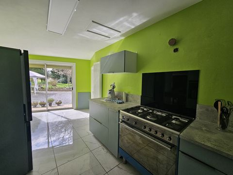 photo no. 14