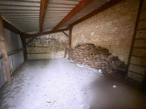 photo no. 11