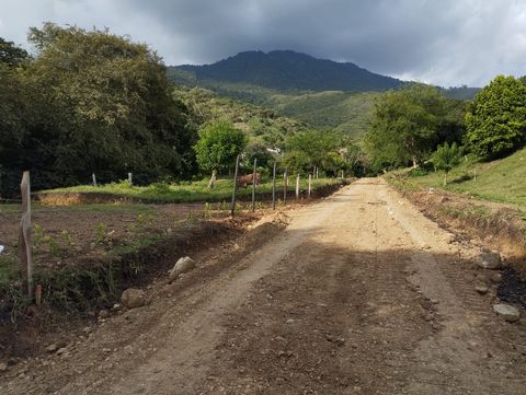 Located; El Rosario village Jurisdiction: del cerrito valle del cauca Open subdivision Free construction No administration fee Area of 500m2 20 front 25 deep Others of 15 in front 33.3 deep *Flat and semi-flat terrain *Climate, warm *With public tran...