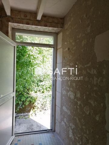 photo no. 11