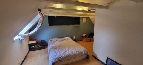 photo no. 11