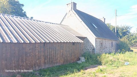 photo no. 8