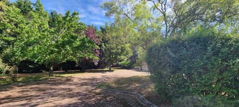 photo no. 13