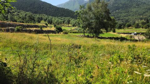 photo no. 3