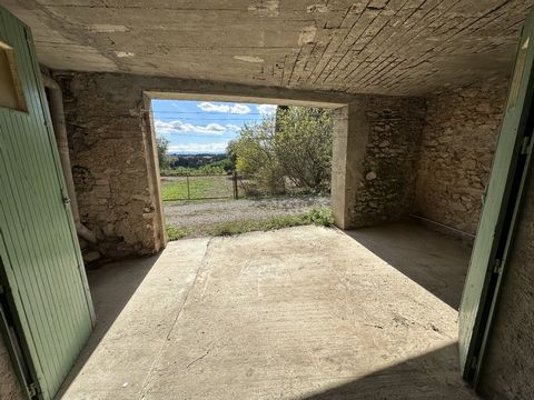 photo no. 8