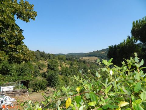 photo no. 9