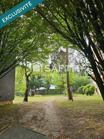 photo no. 13