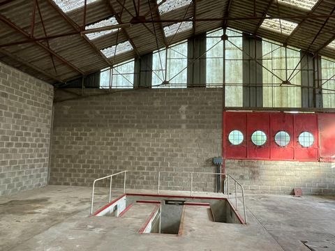photo no. 1
