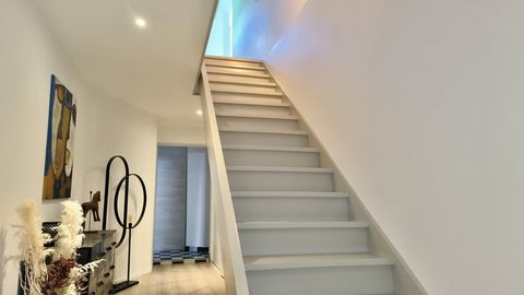 photo no. 11