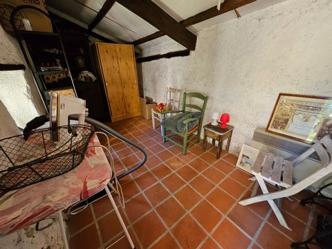 photo no. 12