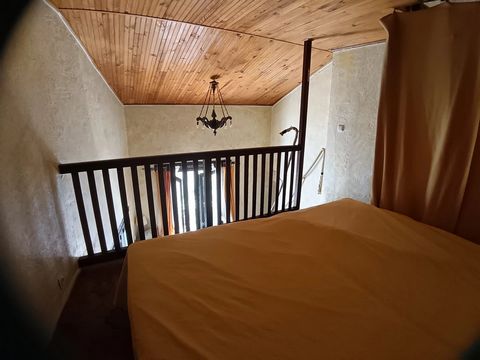 photo no. 23