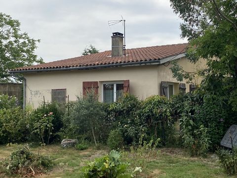 photo no. 14