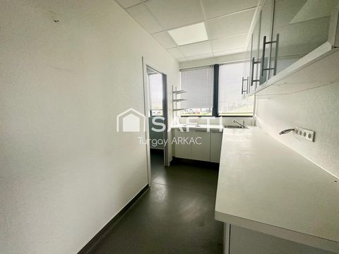 photo no. 9