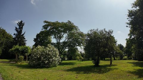 photo no. 9