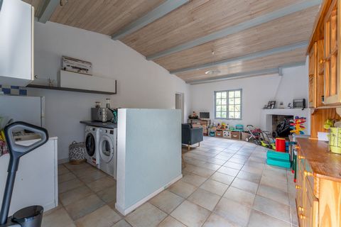 photo no. 14