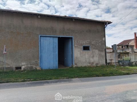 photo no. 12