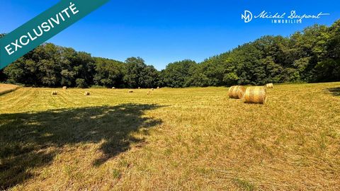 Terrain constructible de 4 986 m² à Limeuil – Vue dégagée et cadre naturel privilégié