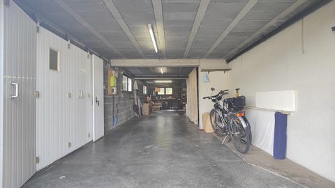 photo no. 13