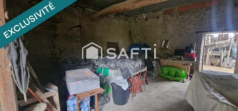 photo no. 17