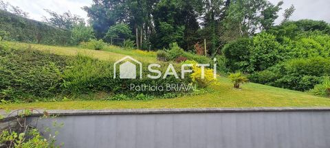 photo no. 10
