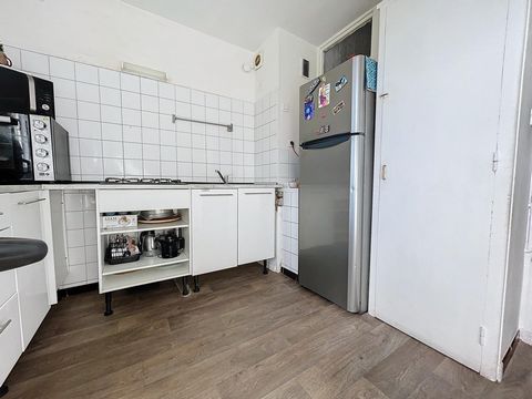 photo no. 4