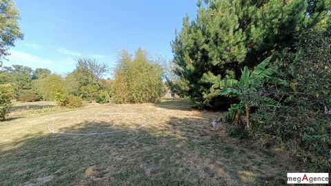 photo no. 10