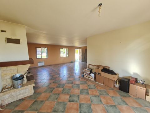 photo no. 4