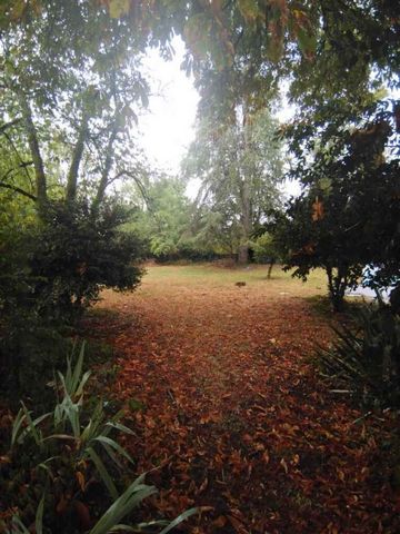 photo no. 11