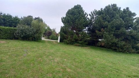 photo no. 7