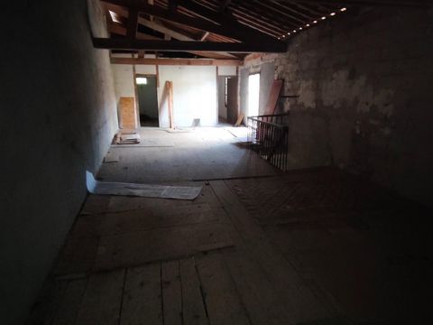photo no. 12