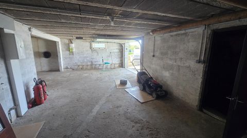 photo no. 12