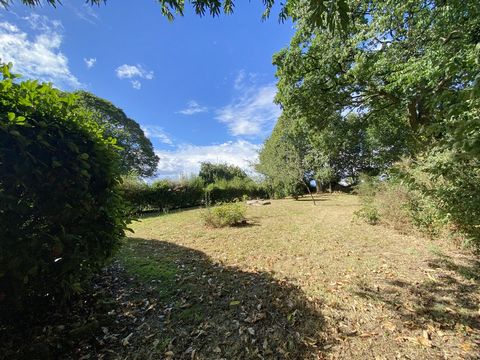 photo no. 5