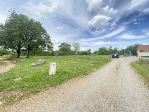 photo no. 1